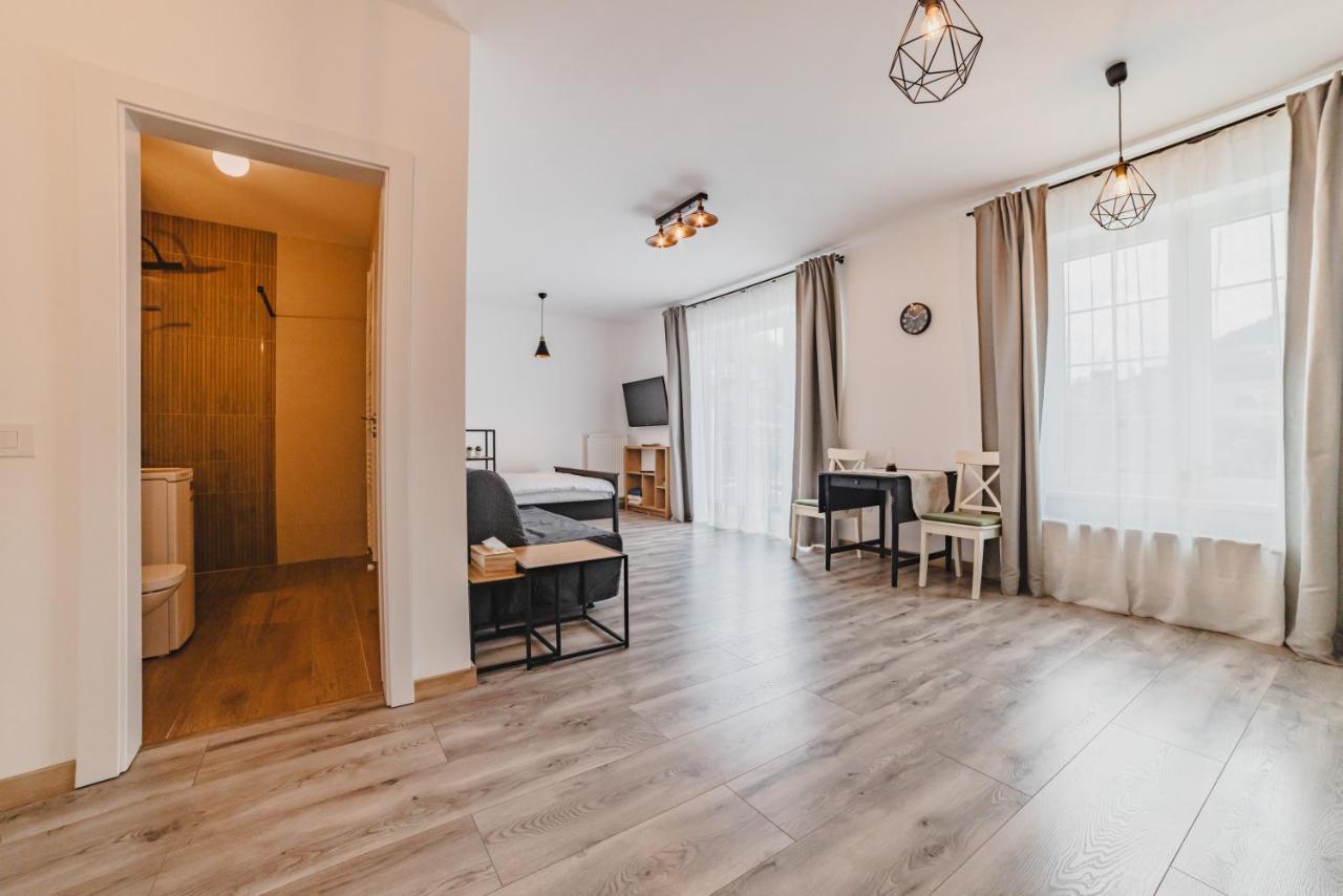 Schiller Studio 64 - Free Private Parking Brašov Exteriér fotografie